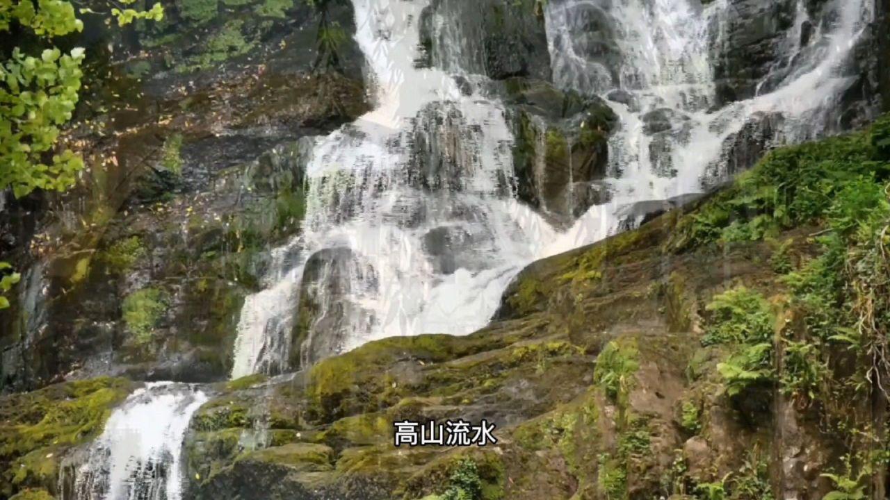 虫虫助手下载